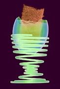 Boiled Egg In An Eggcup Photograph by Science Photo Library