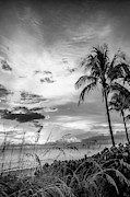 BONITA BEACH Bright Sunset - Monochrome Photograph by Melanie Viola