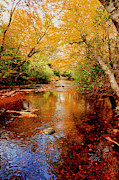 Boone Fork Stream Photograph by Meta Gatschenberger
