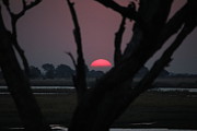 Botswana Sunset Photograph by Pat Moore