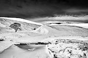 Braemar Pass in Winter Monochrome Photograph by Tim Gainey