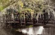Bridge Over Troubled Waters Photograph by Mary Lou Chmura