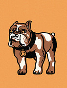 Bulldog Drawing by CSA Images Bulldog Drawing by CSA Images
