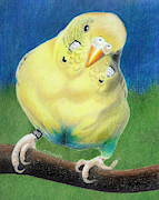 Butter Drawing by Ana Tirolese Butter Drawing by Ana Tirolese