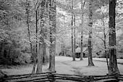 Cabin in the Smoky's III Photograph by Jon Glaser