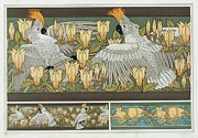 Cacatoes Et Magnolia, Bordure. Souris Blanches Painting by Maurice Pillard Verneuil Cacatoes Et Magnolia, Bordure. Souris Blanches Painting by Maurice Pillard Verneuil