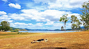 Camp With A View Photograph by Michael Blaine