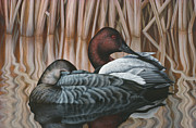 Canvas Backs Painting by Rusty Frentner