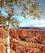Canyon Drawing by CSA Images
