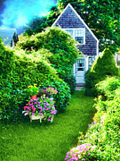 Cape-fairy Tale Photograph by Tammy Wetzel