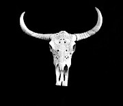 Carved Animal Skull  Photograph by Andrea Kollo
