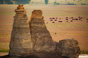 Castle Rock Cattle Photograph by Jeff Phillippi Castle Rock Cattle Photograph by Jeff Phillippi