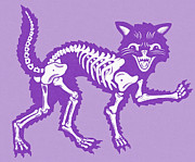 Cat Skeleton Drawing by CSA Images Cat Skeleton Drawing by CSA Images