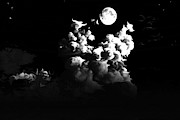 Cathedral of the Moon Digital Art by Brandi Untz Cathedral of the Moon Digital Art by Brandi Untz