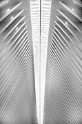 Ceiling Oculus Mall Photograph by Patrick Boening