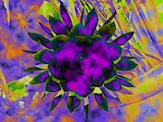 Hot Summer Day Digital Art by Vallee Johnson