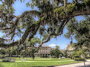 Charming Jekyll Island Club Resort Photograph by Amy Dundon