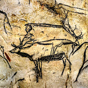 Chauvet Two Deer Digital Art by Weston Westmoreland Chauvet Two Deer Digital Art by Weston Westmoreland