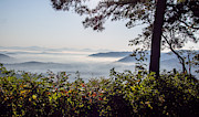 Chestnut Cove Overlook on the Blue Riidge Parkway Photograph by L Bosco