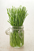 Chives Photograph by Riou