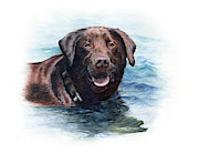 Chocolate Lab Painting by Patrice Clarkson