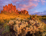 Cholla And Superstition Mts Photograph by Tim Fitzharris