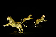 Christmas At The Living Desert Zoo - Cheetah Family Photograph by Colleen Cornelius Christmas At The Living Desert Zoo - Cheetah Family Photograph by Colleen Cornelius