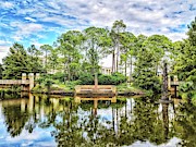 City Park Photograph by Portia Olaughlin