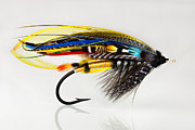 Classic Fishing Fly. Photograph by Leif Lndal