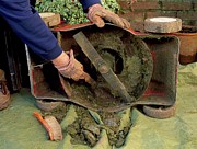 Cleaning A Lawnmower Photograph by Science Photo Library