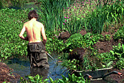 Clearing Pond Weed From A Stream Photograph by Science Photo Library