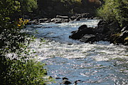 Clearview Stream I Photograph by Tammie J Jordan