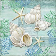Clearwater Shells III Painting by Paul Brent