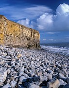 Cliff And Storm Beach Photograph by Science Photo Library