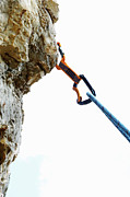 Climbing Photograph by Adie Bush