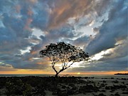 Clouds Paint The Sky Photograph by Joan Stratton