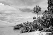 Cloudy Beach Photograph by Robert Wilder Jr