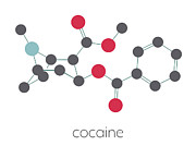 Cocaine Stimulant Drug Molecule Photograph by Science Photo Library