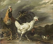 Cock, a Hen and other Poultry. Painting by Pieter Jansz van Ruyven