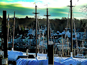 Cold Harbor Photograph by Rebecca Traylor