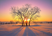 Cold Sunset Photograph by Kadek Susanto