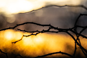 Color Block Sunset Photograph by Linda Bonaccorsi Color Block Sunset Photograph by Linda Bonaccorsi