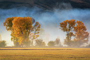 Colorado Autumn Fog Photograph by John De Bord Colorado Autumn Fog Photograph by John De Bord
