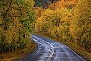 Colorado Fall Country Road Photograph by John De Bord