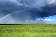 Colorful Colorado Sky Photograph by Ally White Colorful Colorado Sky Photograph by Ally White
