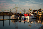 Colorful morning Photograph by Bill Posner