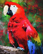 Colorful Parrot - 14 Painting by AM FineArtPrints Colorful Parrot - 14 Painting by AM FineArtPrints