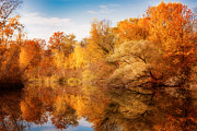 Colors Explosion Photograph by Philippe Sainte-Laudy Colors Explosion Photograph by Philippe Sainte-Laudy