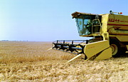 Combine Harvester Photograph by Science Photo Library