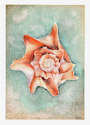 Whelk on the Beach Painting by Hilda Wagner